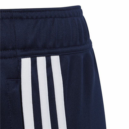 Long Sports Trousers Adidas Tiro 23 Club Blue