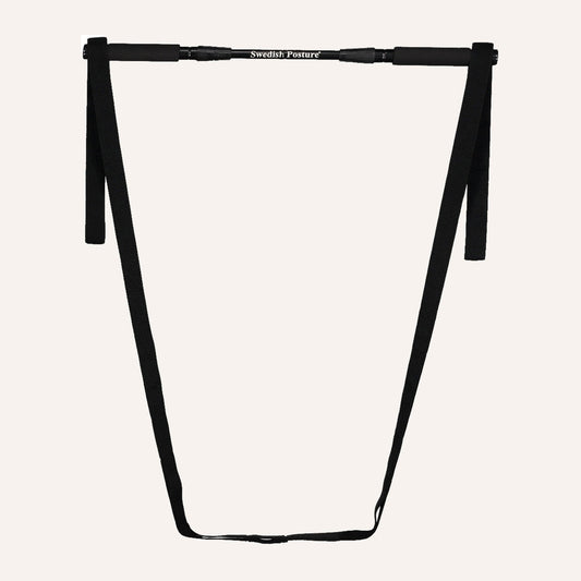 MiniGym Exercise Kit